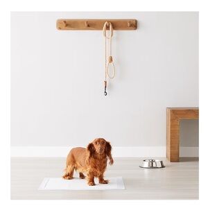 Amazon LeakProof Dog Puppy Cat Potty Training Pee Pads Regular Size 22”x22", #50